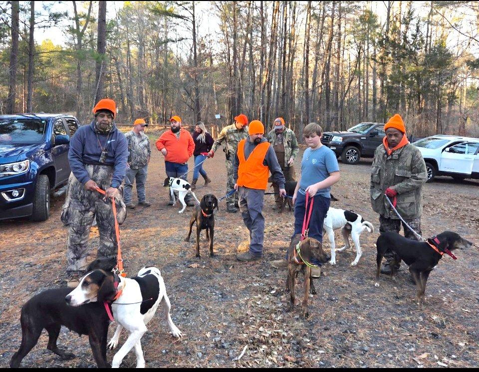 Image: deer_dogging_2