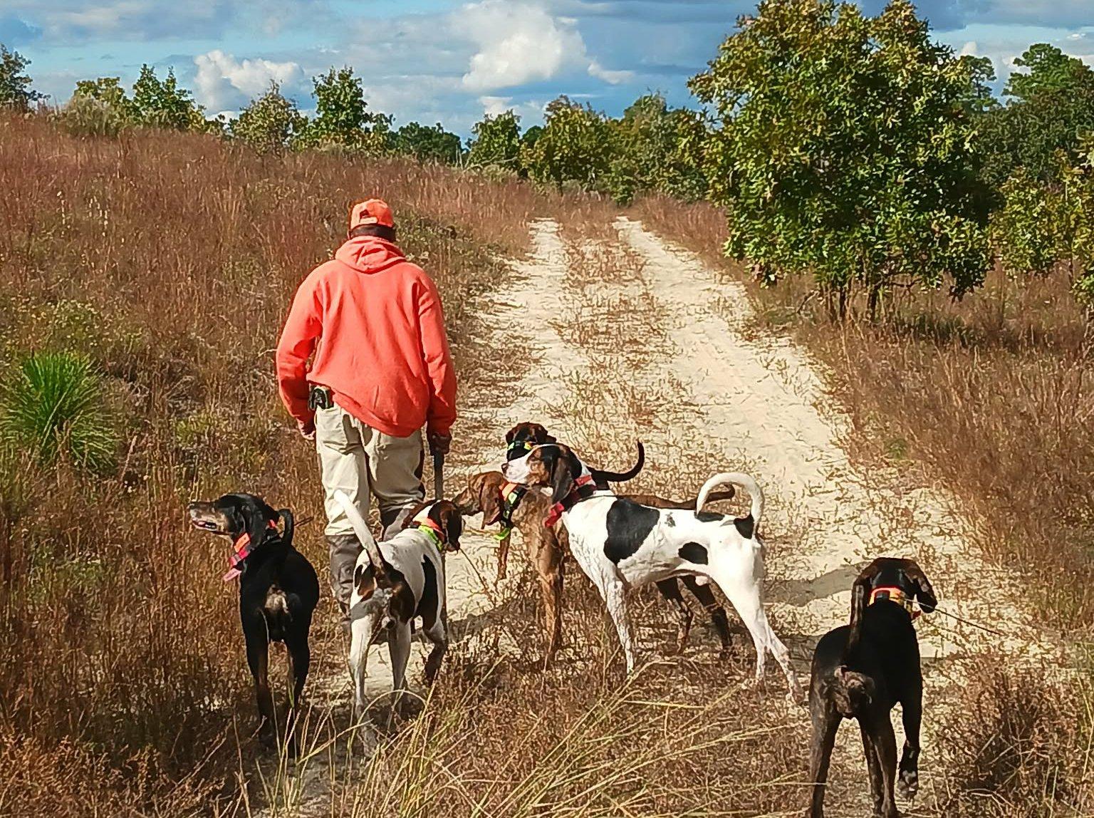 Image: deer_dogging_8_b