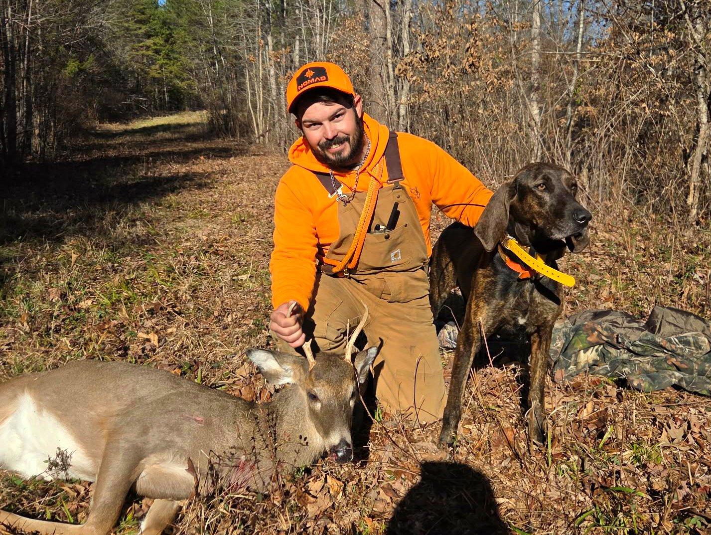 Image: deer_dogging_9