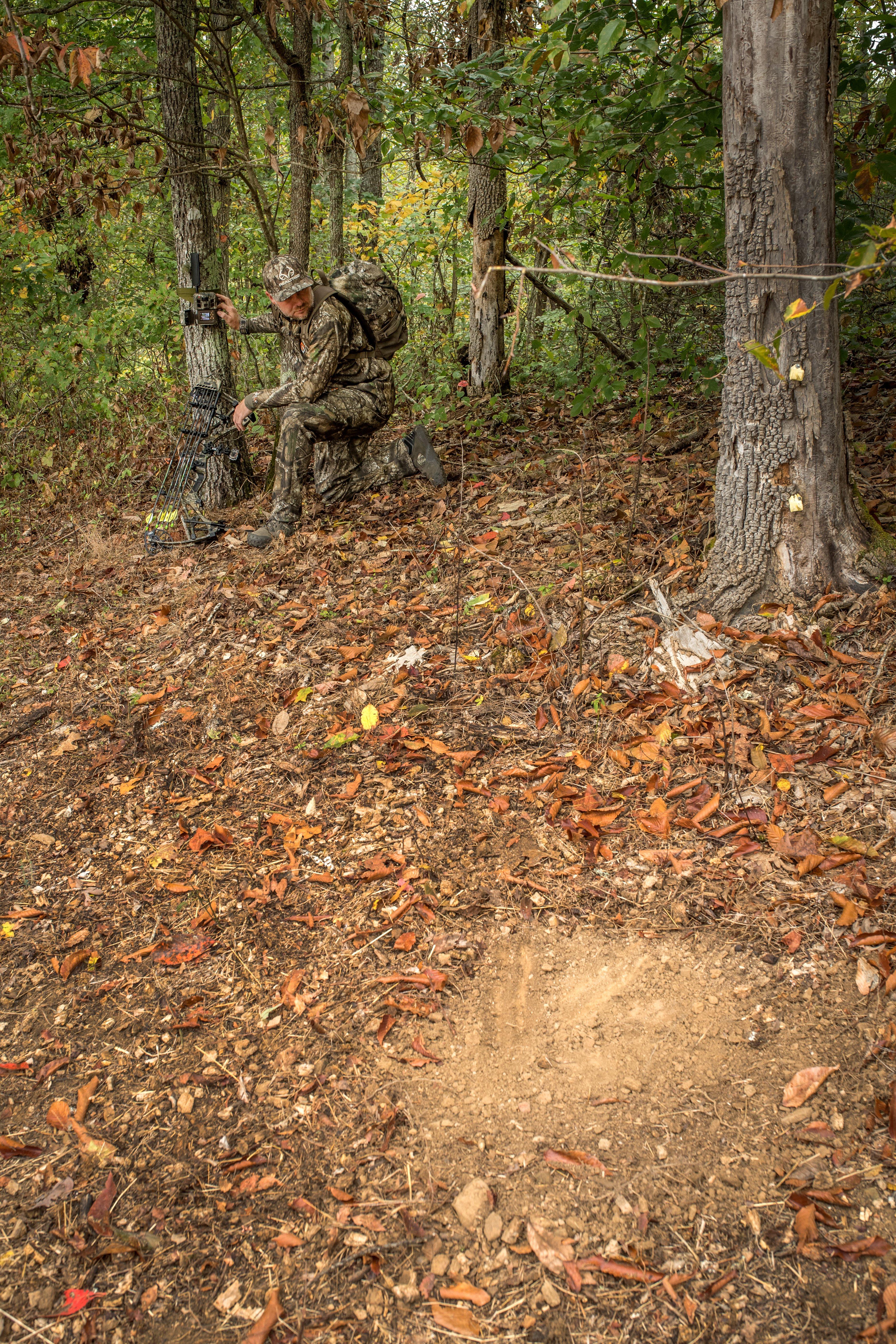 Image: deer_scrape_1