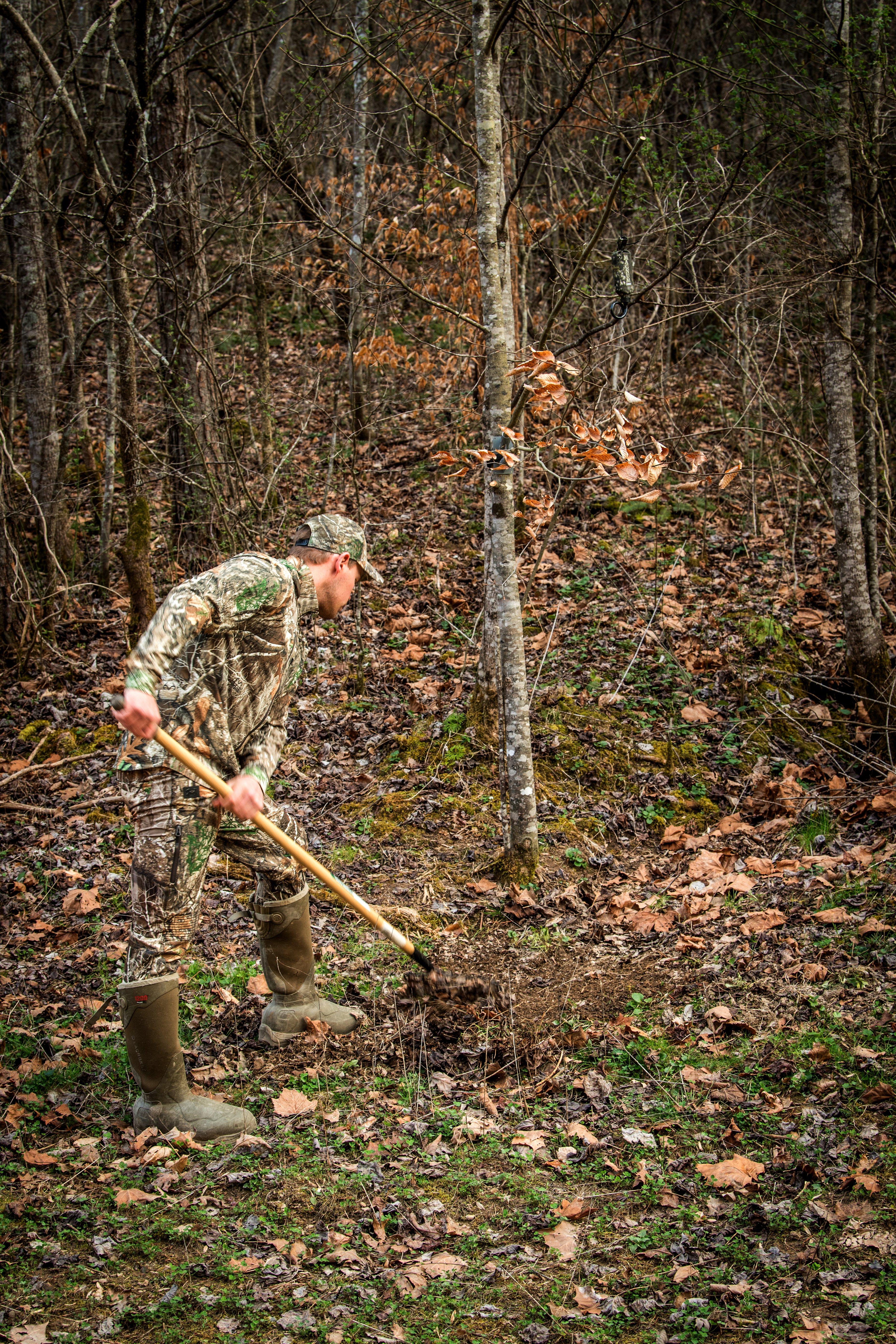 Image: deer_scrape_2