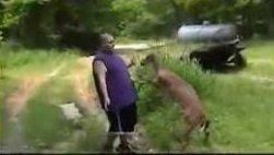 This guy doesn't seem to mind getting beaten up by a deer. 