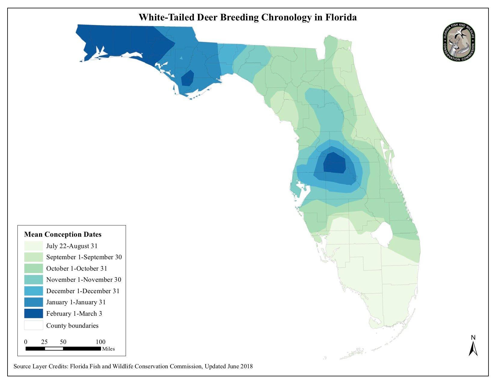 Hunting season dates reflect the extreme variance in rut dates throughout Florida. (FWC photo)