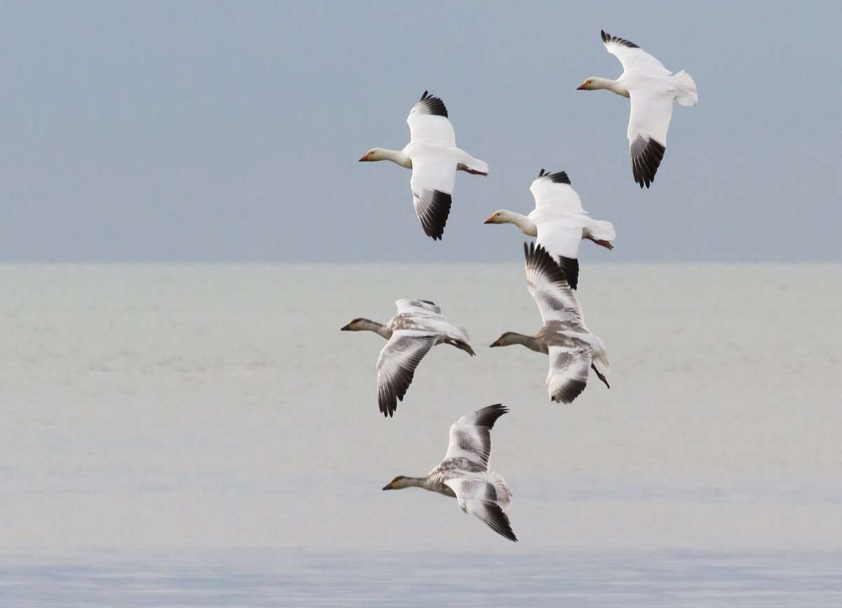 Photo © Feng_Yu/Shutterstock Photo © Feng_Yu/Shutterstock