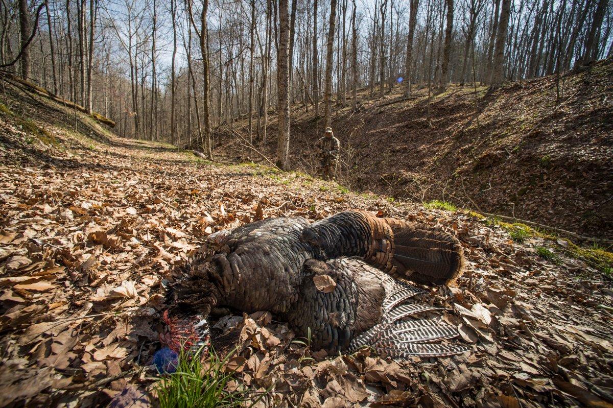 Killing a turkey is tough enough. These 10 things can make it even harder. (© Bill Konway photo)