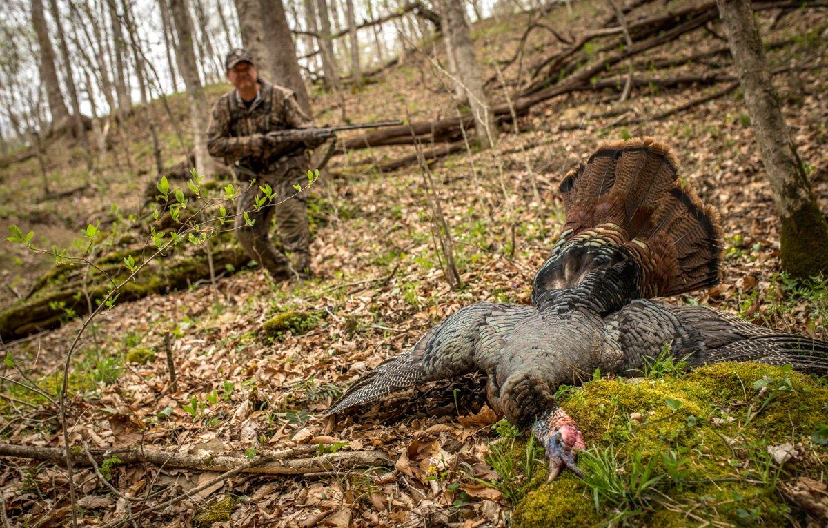 Calling turkeys is great fun but there are times you shouldn't. © Bill Konway photo