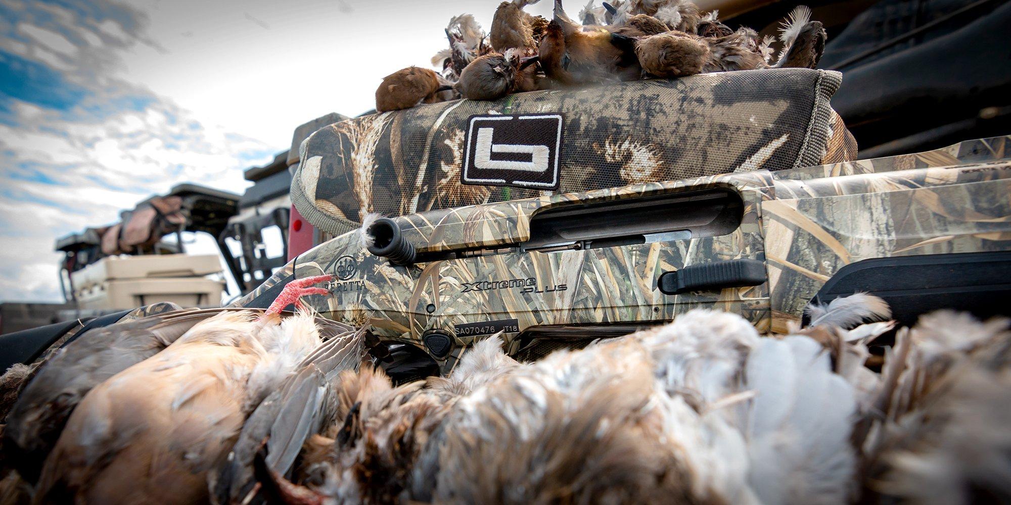 Image: dove_hunt_guns_5