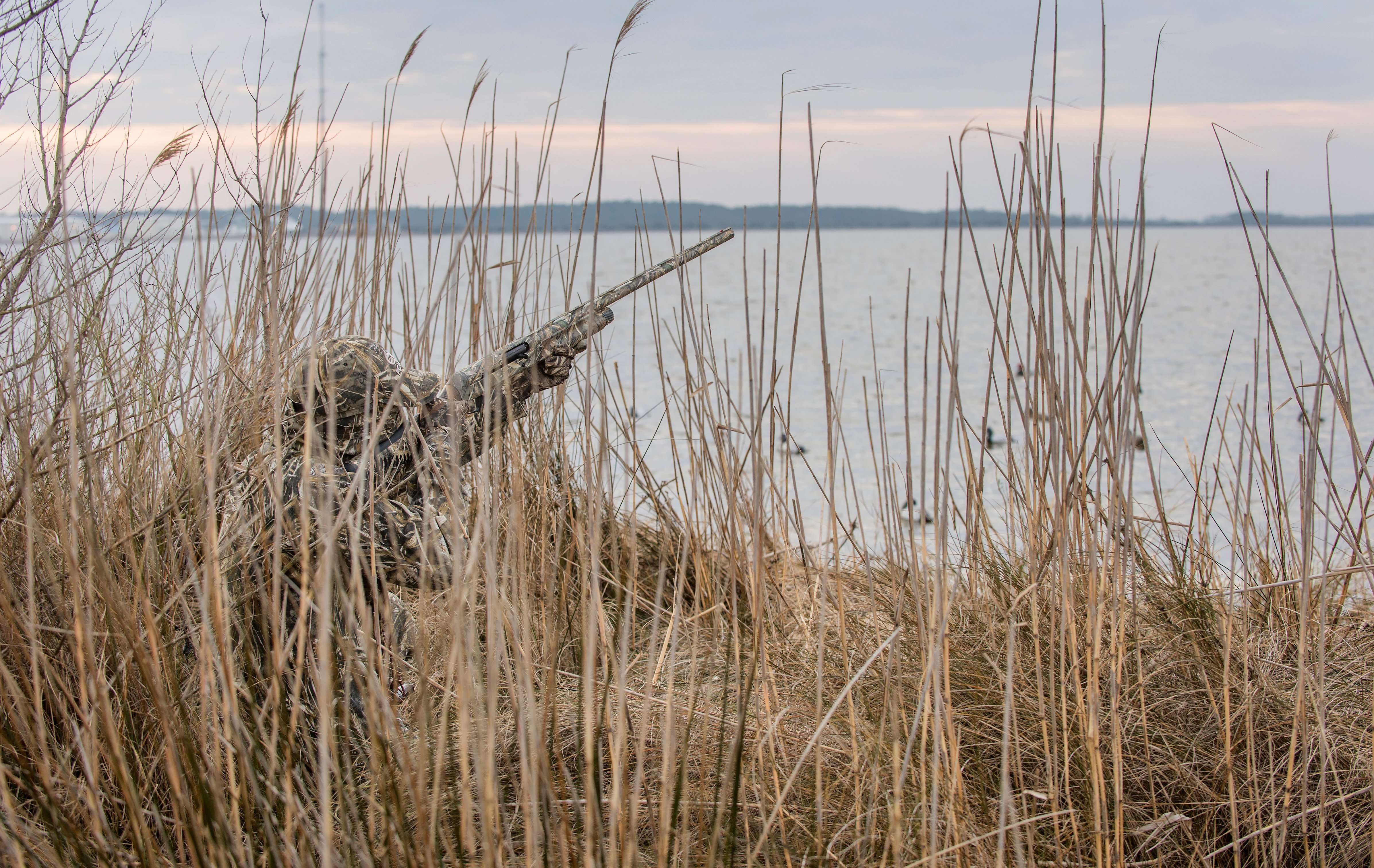 Ice has retreated from many northern areas of the Atlantic Flyway, but cold snaps are still producing good hunting. Photo © Bill Konway