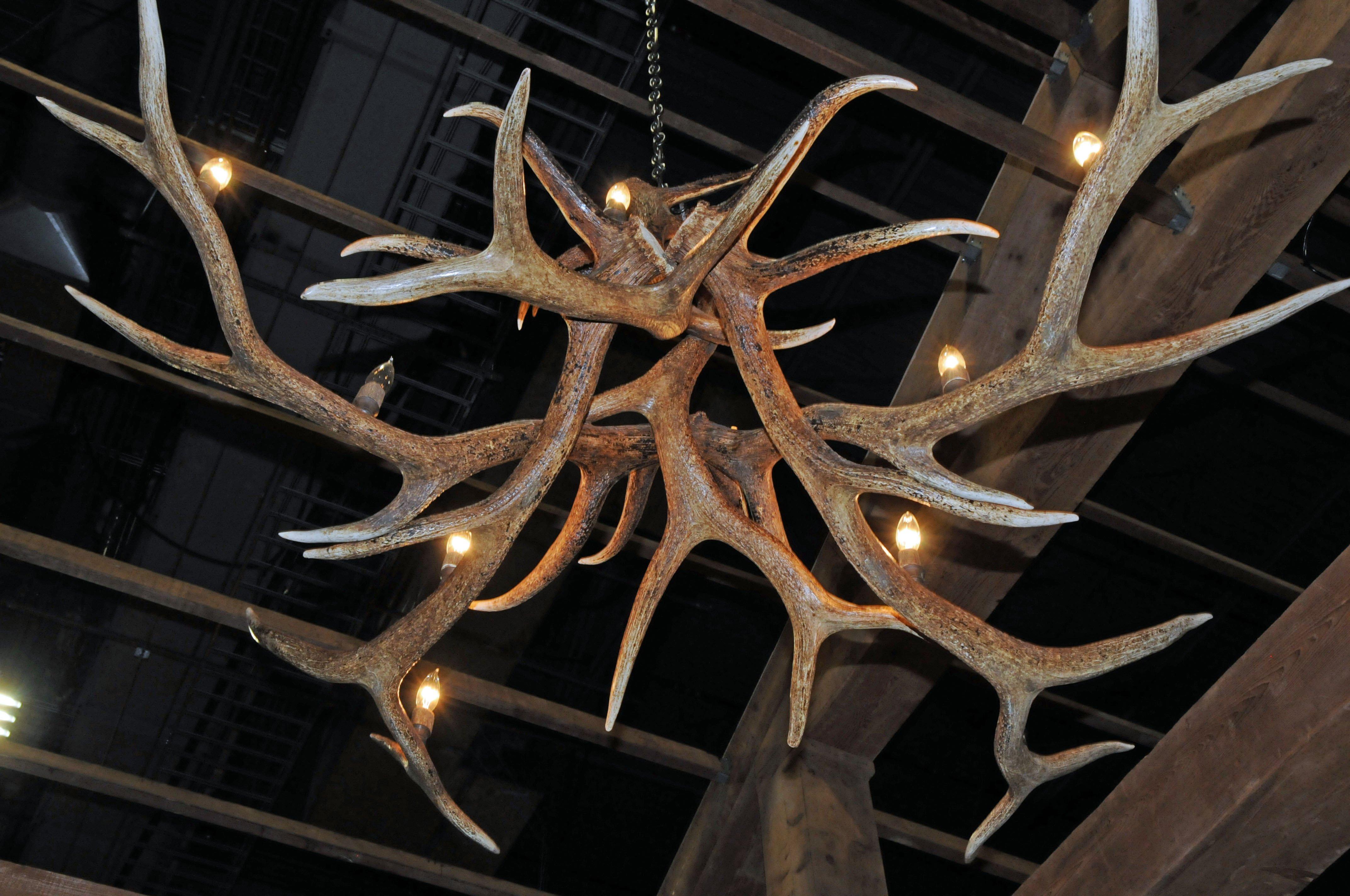 Antler Chandelier