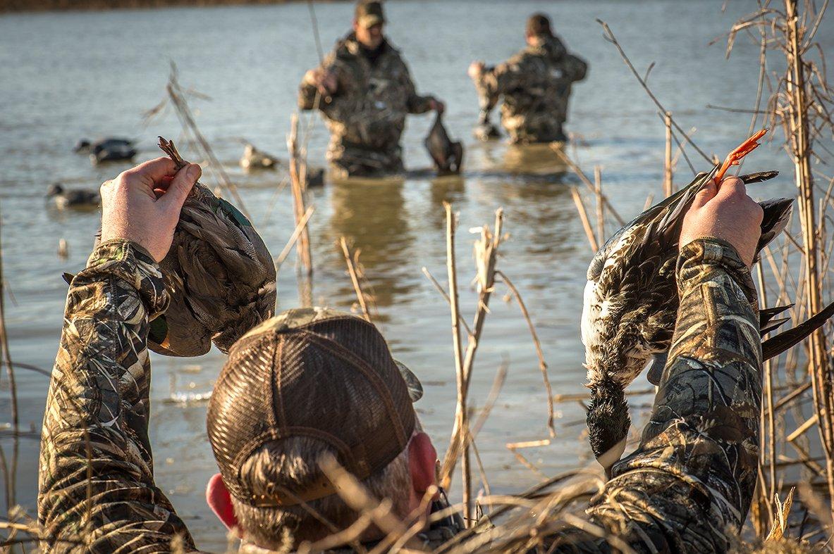 Many hunters enjoyed stellar hunting during 2017-'18, but cold and ice made things challenging for some Southern waterfowlers. Photo © Bill Konway