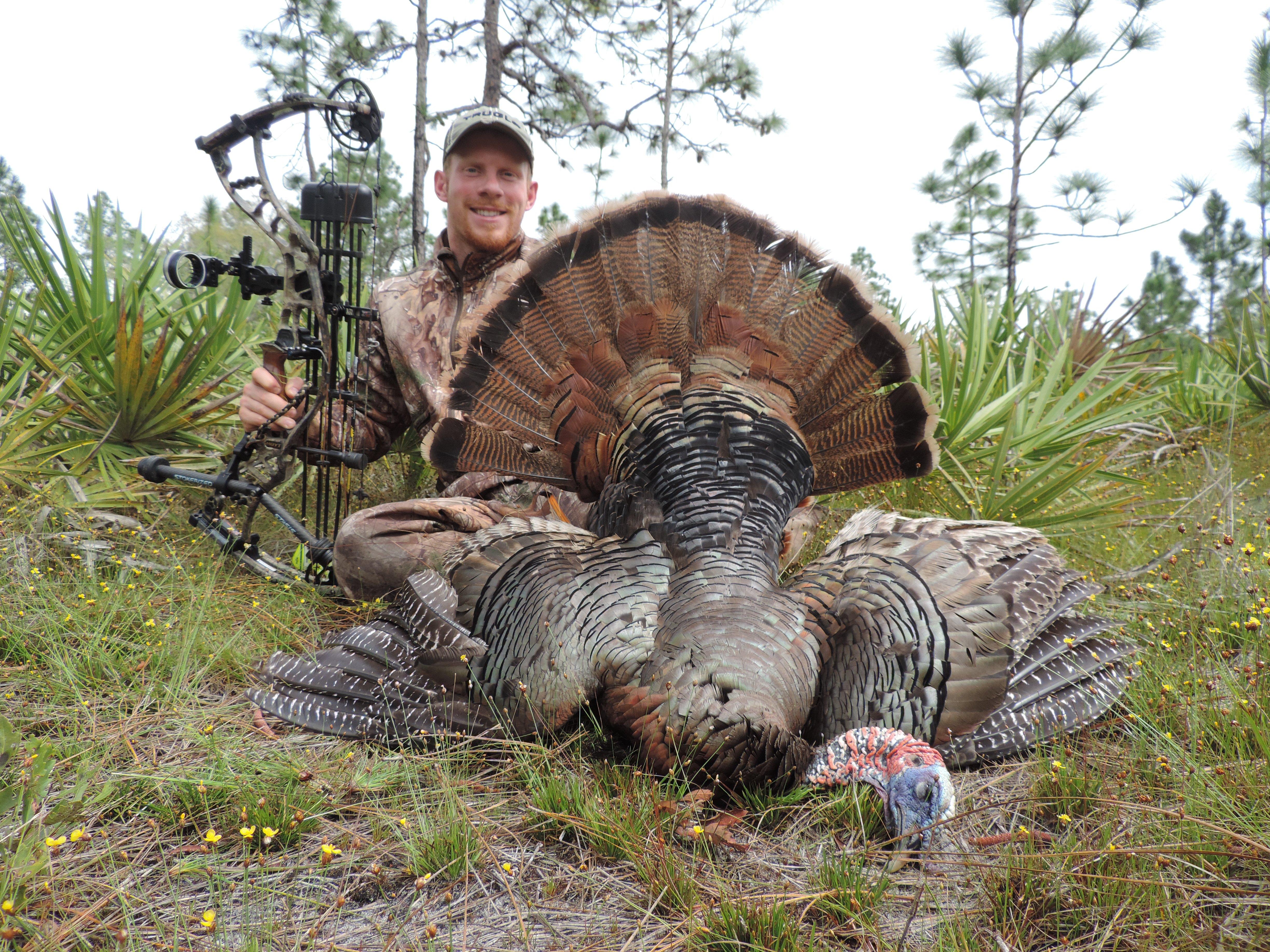 Where spring and fall seasons are open, turkeys make a great pairing with just about anything. Image by Darron McDougal