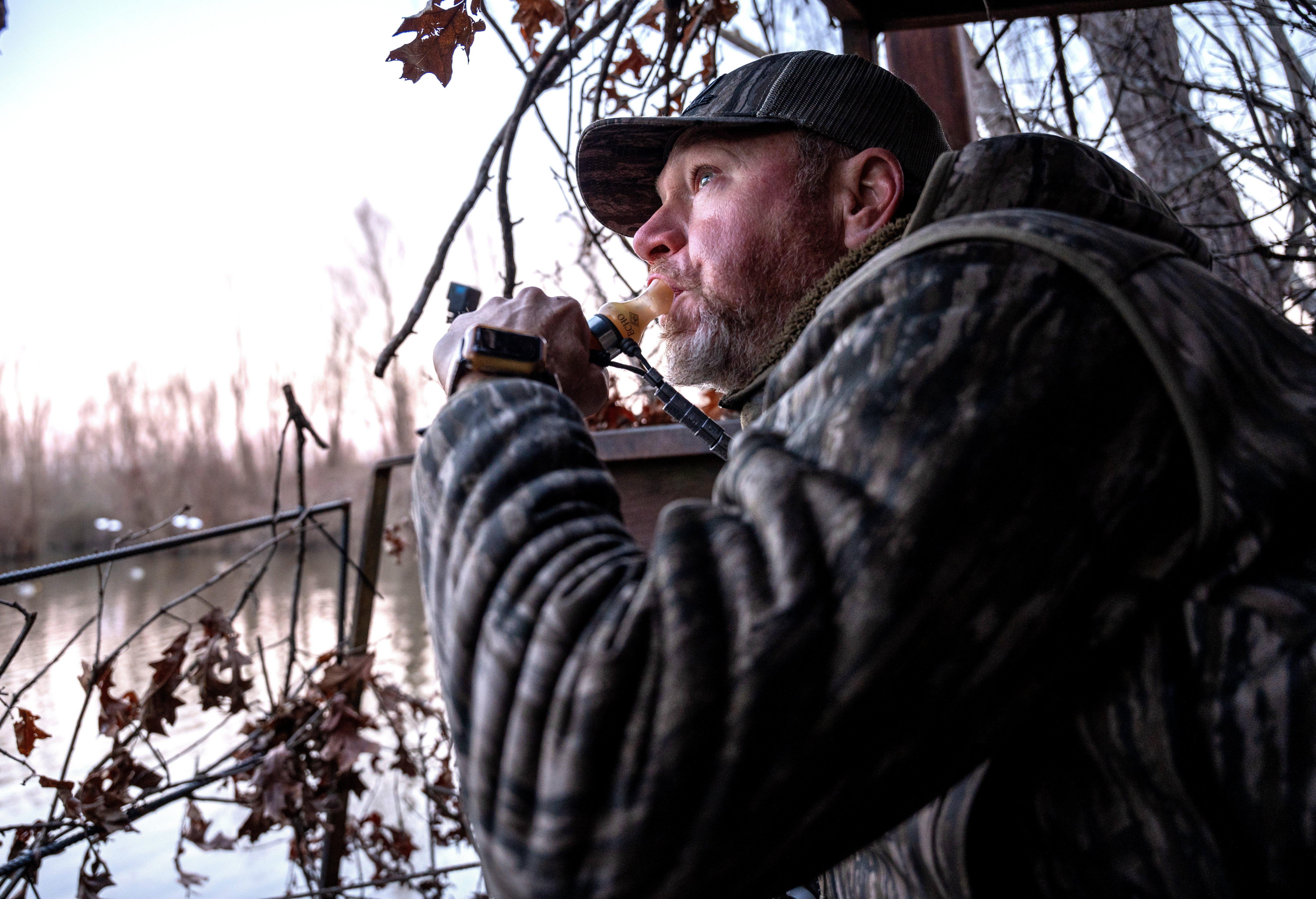 Image: duck_calling_1