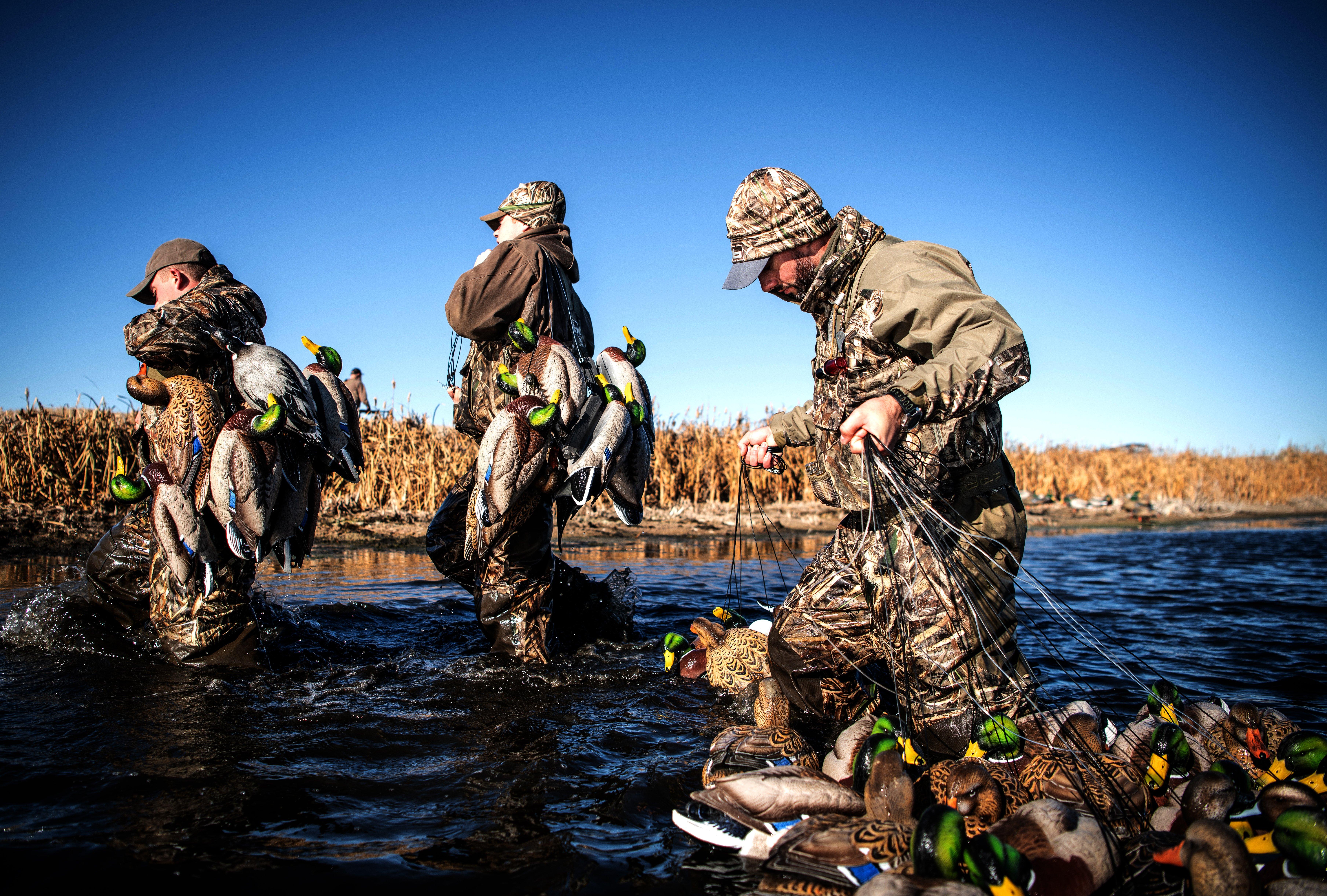 Image: duck_hunters_2