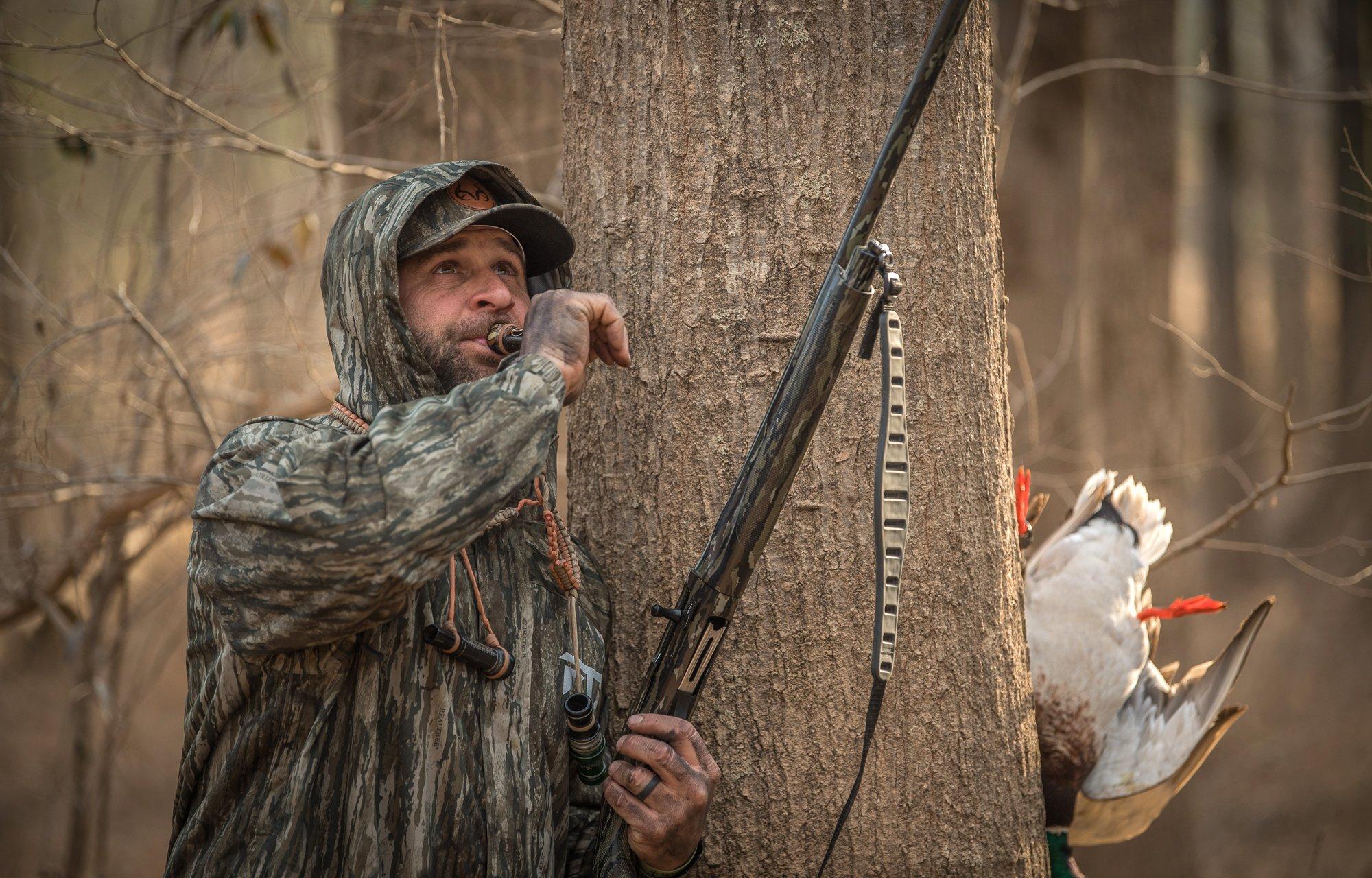 Image: duck_skills_1
