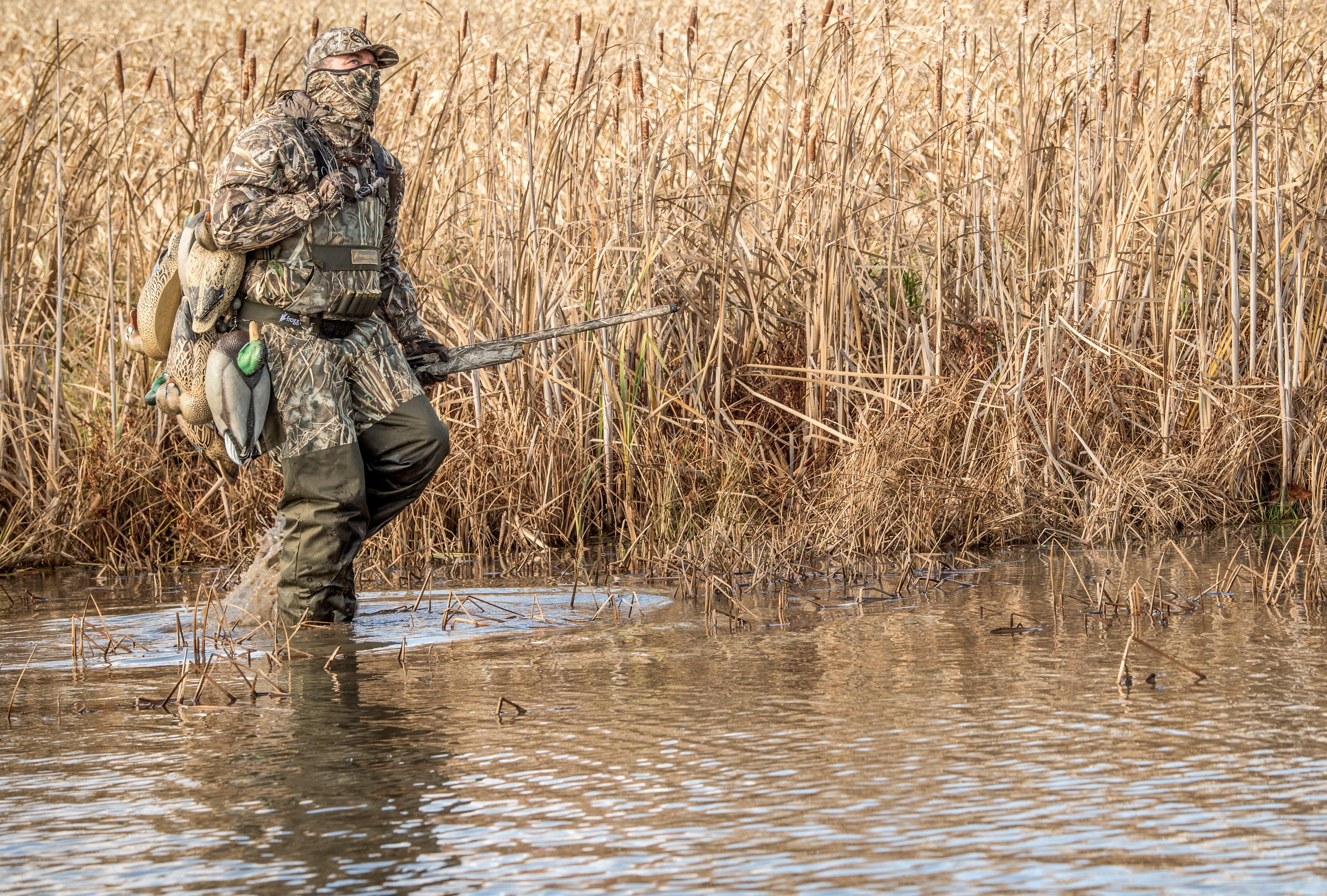 Image: duck_skills_5