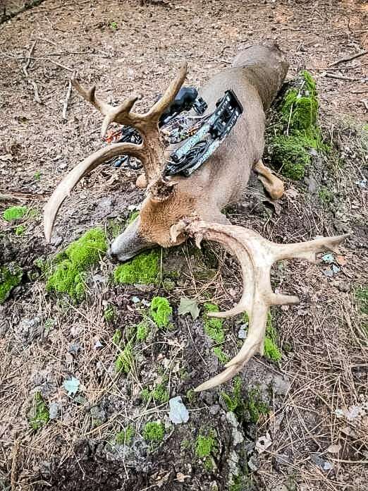 Based on this buck, and others, Maryland is quite the sleeper state. Image courtesy of John Earhart III 
