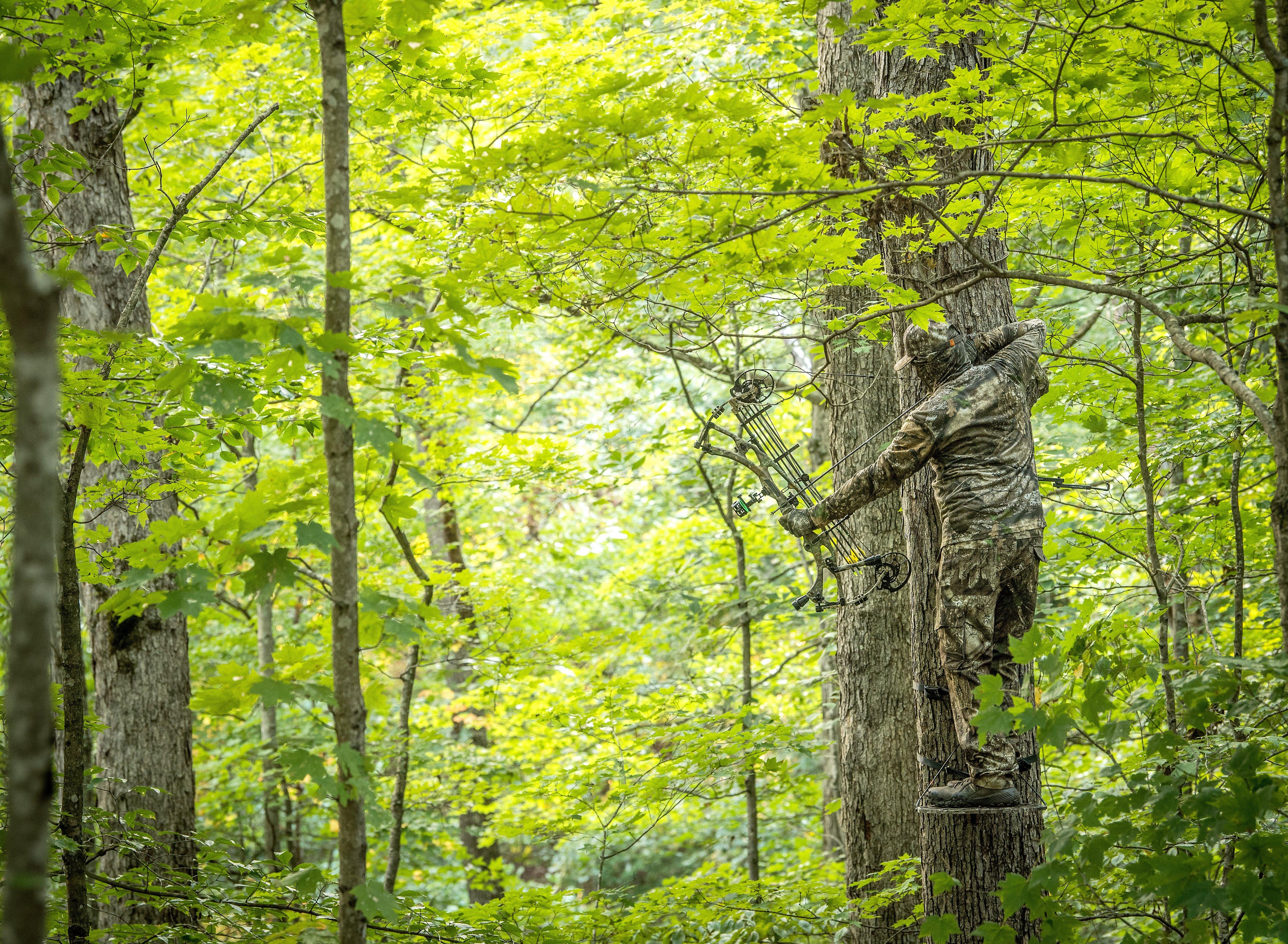 Image: early_season_bowhunter