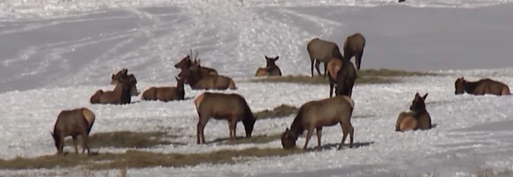 Sportsmen's group urges end to standoff at the Malheur National Wildlife Refuge in Oregon.