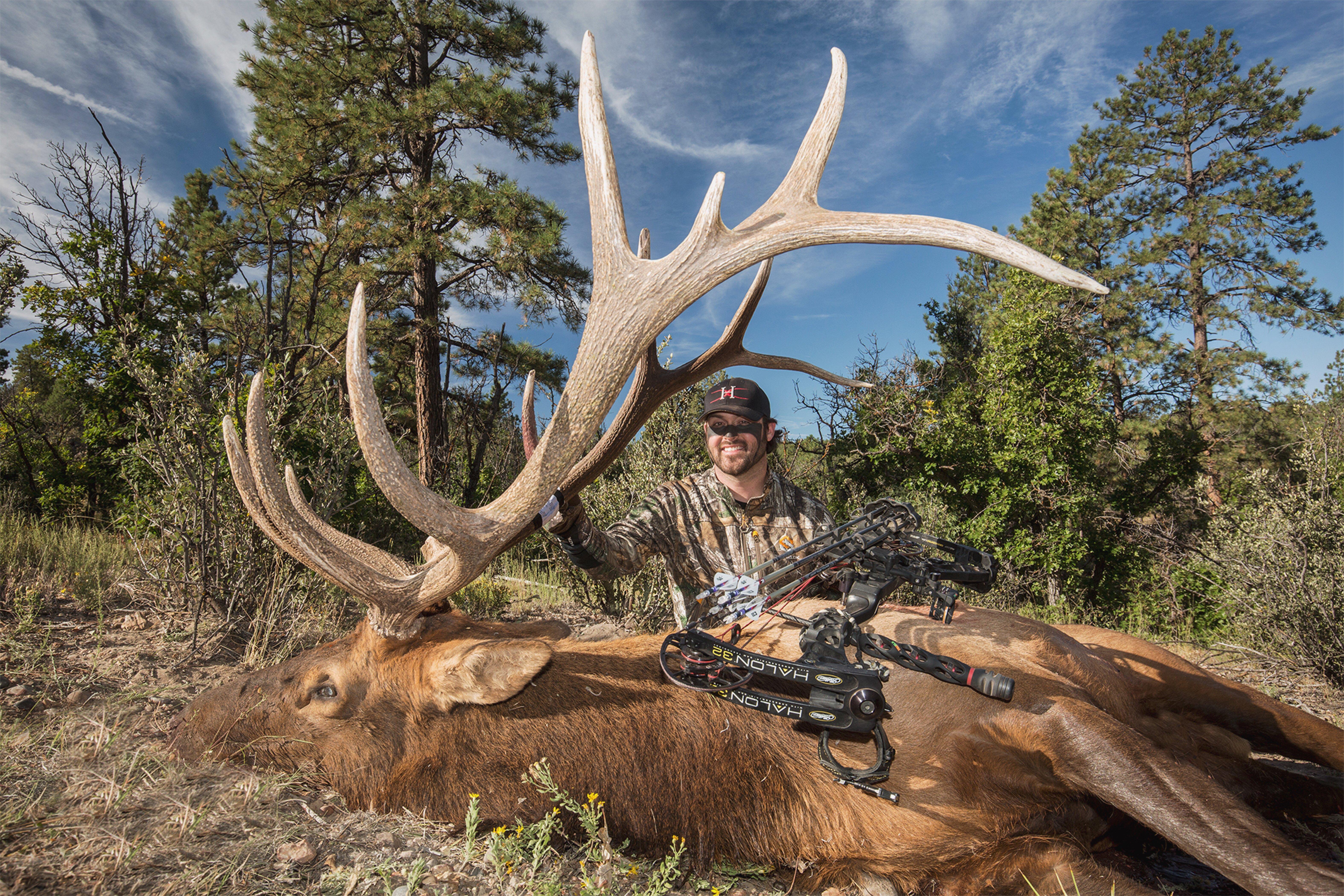 Image: elk_archery_tips_9