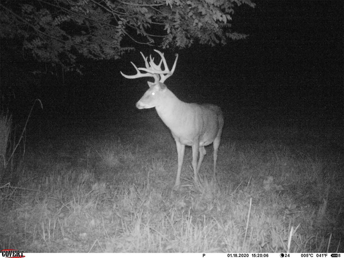 A lot of energy, sweat and time went into the hunt for this giant Ohio buck. (Emily Schaad photo)