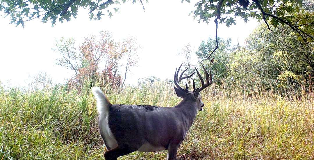 This buck got the best of Hale numerous times, but he finally caught the giant off guard. Image by Eric Hale