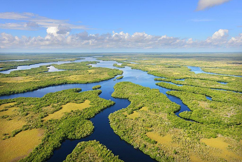 Fish and wildlife habitat in southern Florida, from Lake Okeechobee south to Florida Bay and the Everglades, is in peril. Photo © Vanishing Paradise
