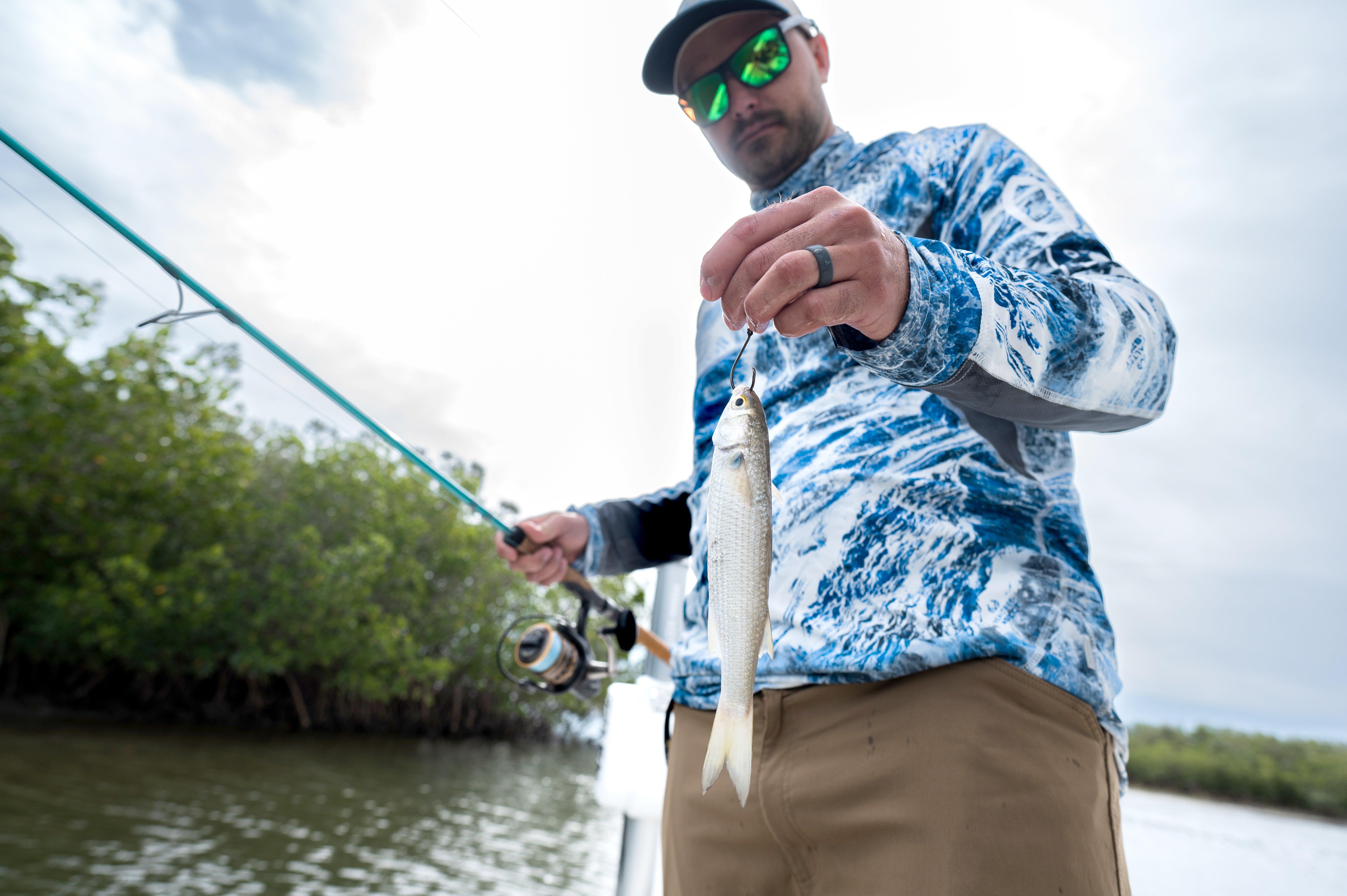 Image: fall_redfish_8
