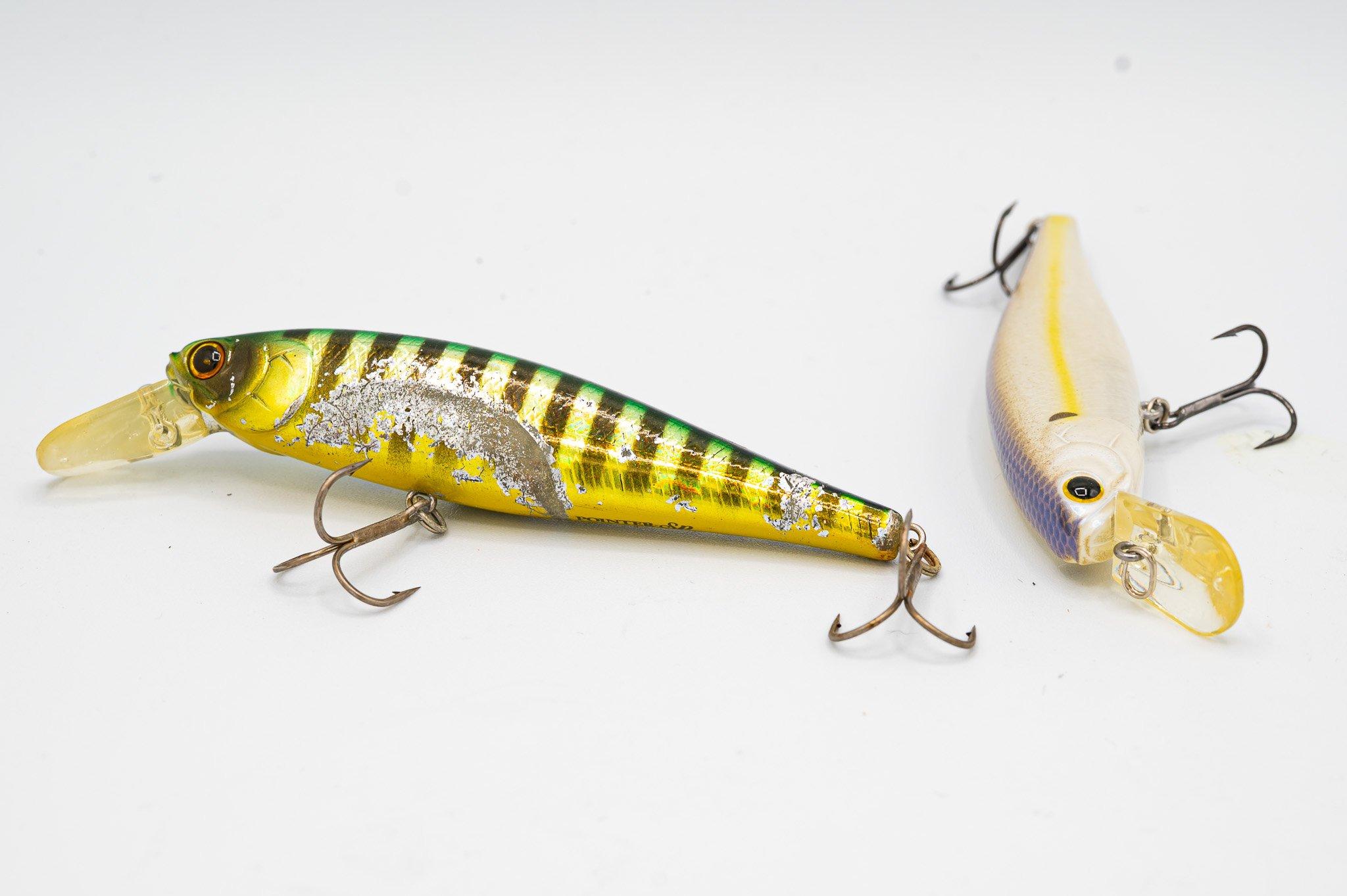 Image: fall_smallies_5