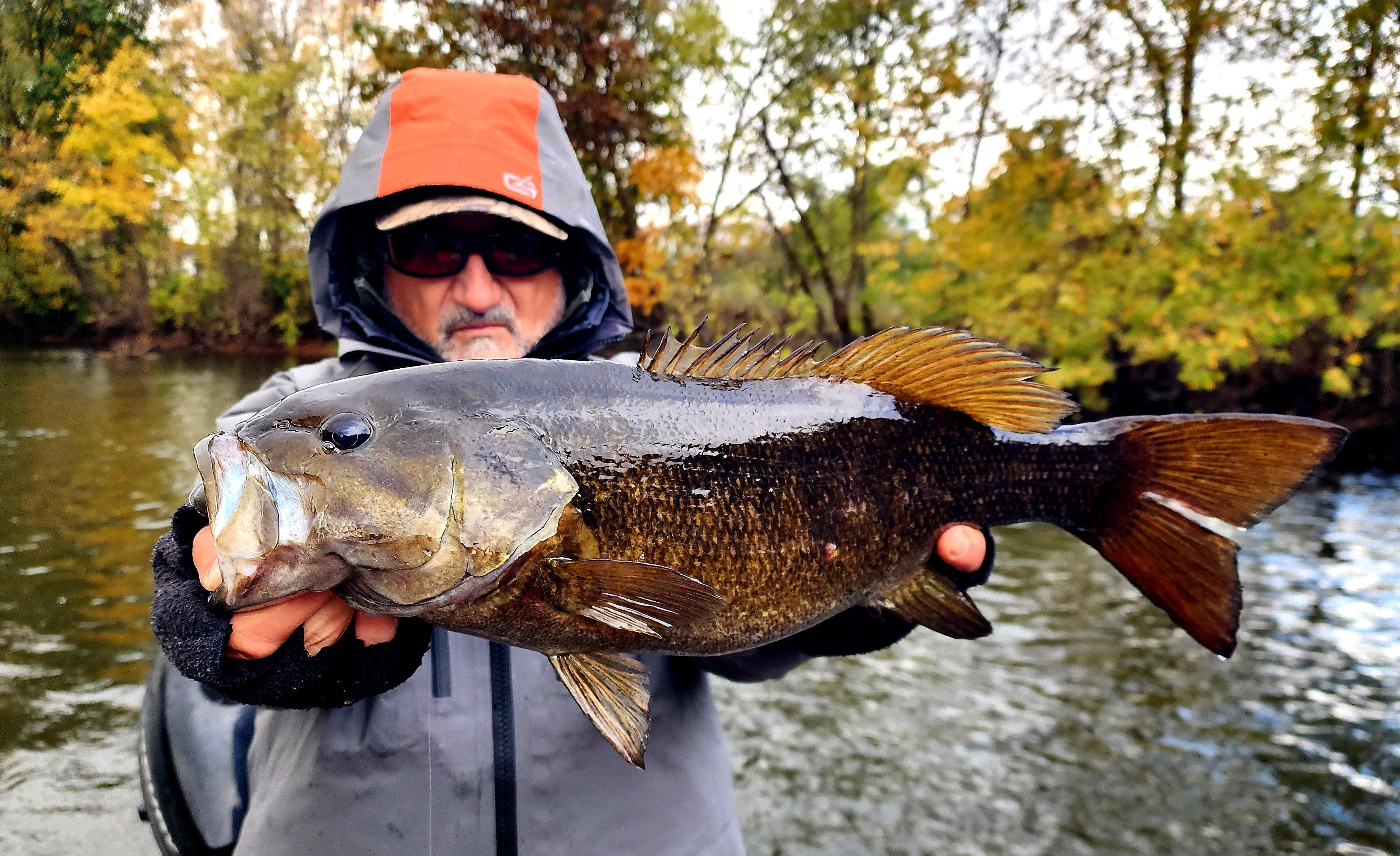 Image: fall_smallies_7