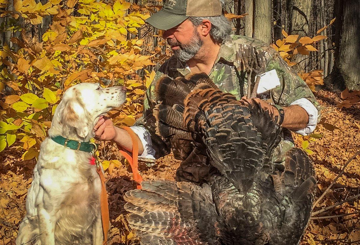 Some opportunities are expanding. Twenty-nine states, including Pennsylvania and Maine,  currently permit the use of dogs during the fall turkey season — featuring all the enjoyable aspects of other forms of upland bird hunting, with a few twists —to find and scatter flocks for your call-back session; up from just 11 states in the early '90s. (© Steve Hickoff photo)