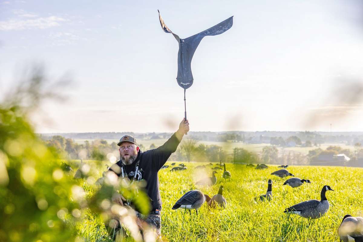5 Tips for Tough Early Season Geese - Realtree Camo