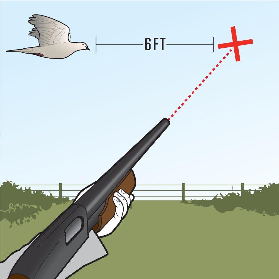 Slingshot Rifle Dove Hunt 