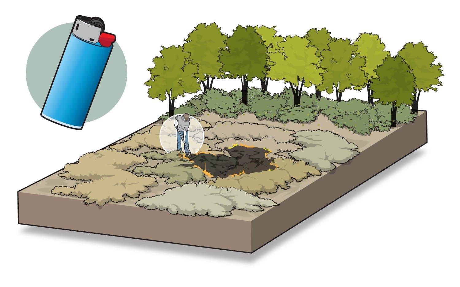 finalfire10?fmt=auto&qlt=75 Make a Food Plot Without a Tractor