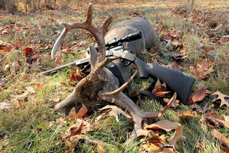 All About Federal FireStick Muzzleloaders Image