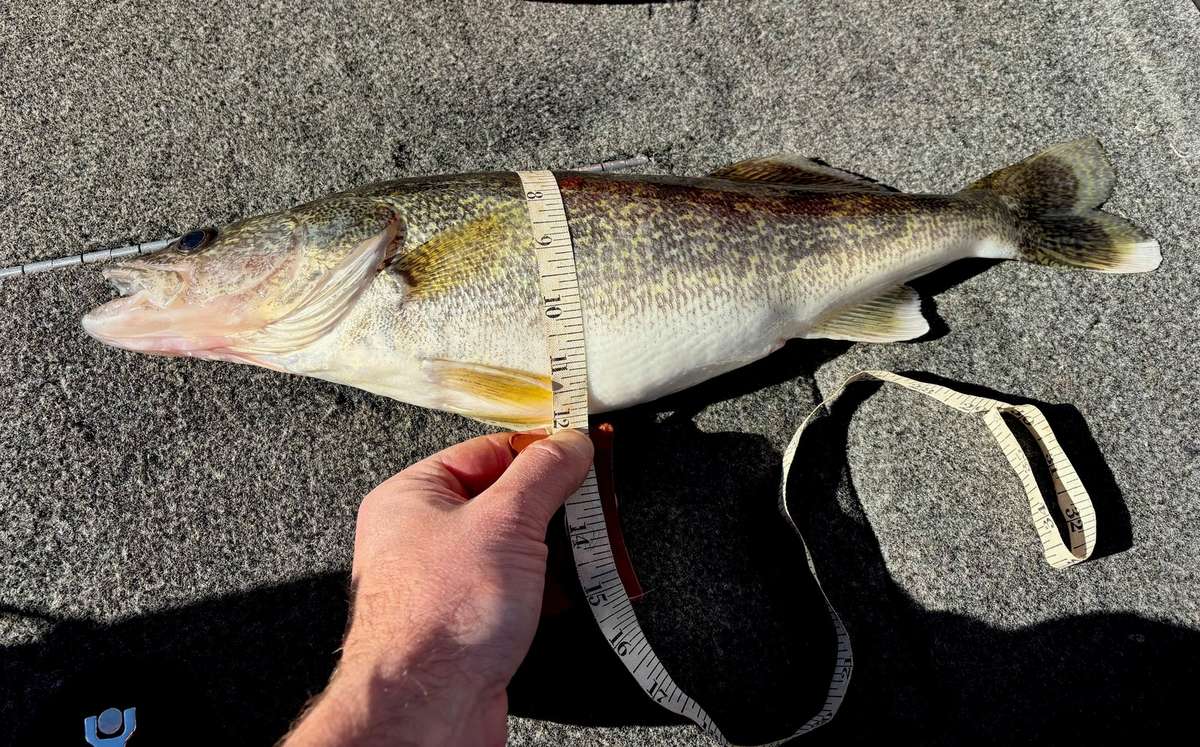 How to Weigh a Fish Without a Scale - Realtree Camo