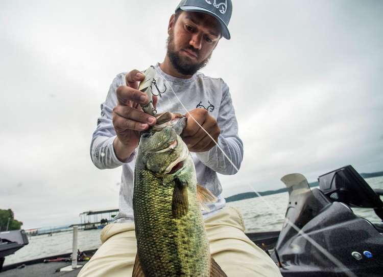 Fluorocarbon, Braid, or Mono: Which Fishing Line Works Best? Image