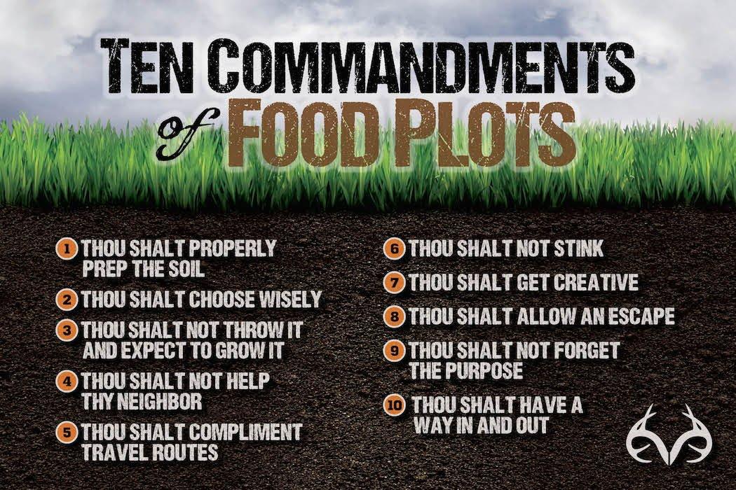 The 10 Commandments of Food Plots