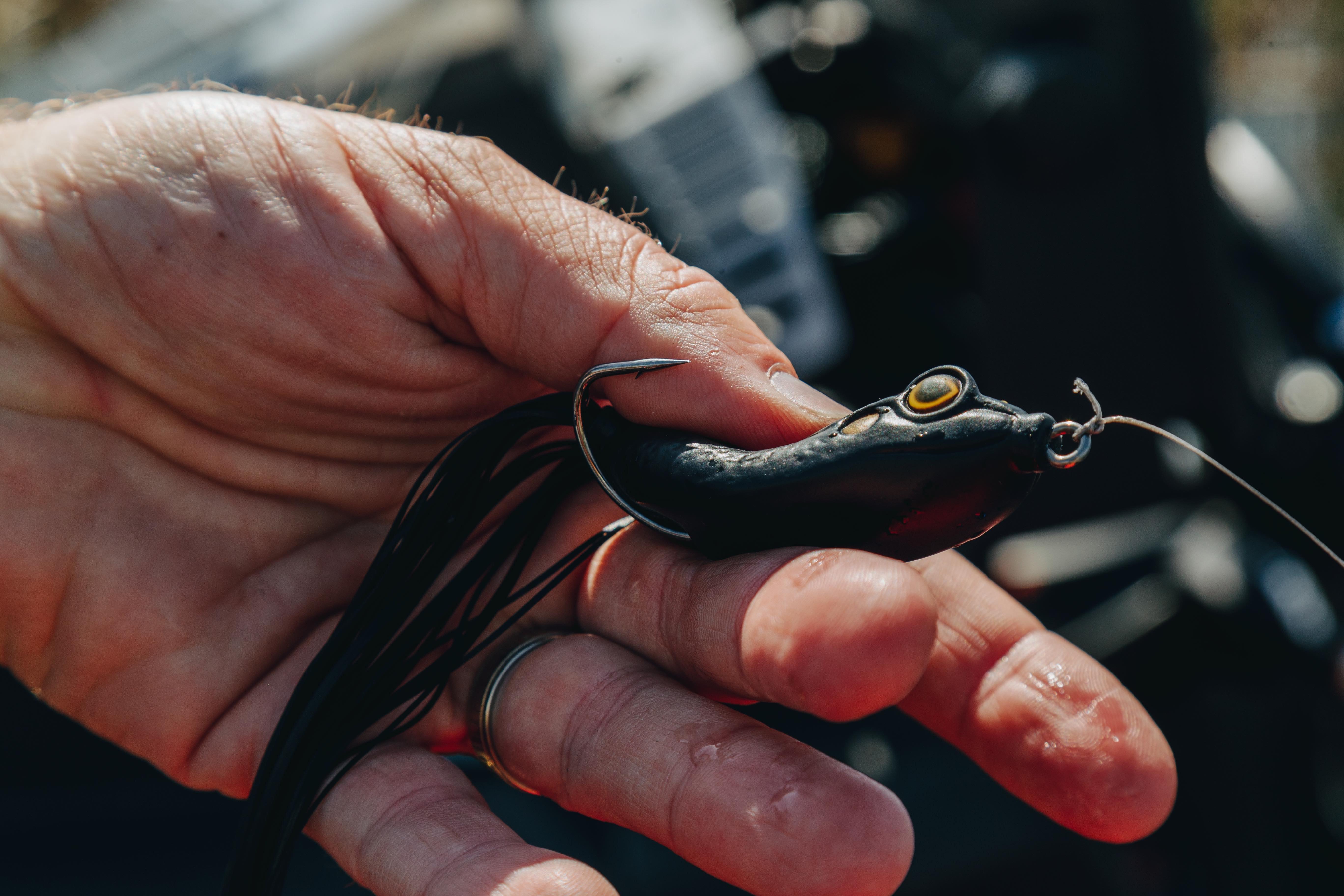 Hollow-bodied frog lures feature strong, double hooks, making them ideal for pulling bass out of heavy slop. Image by Millennium Promotions Inc.