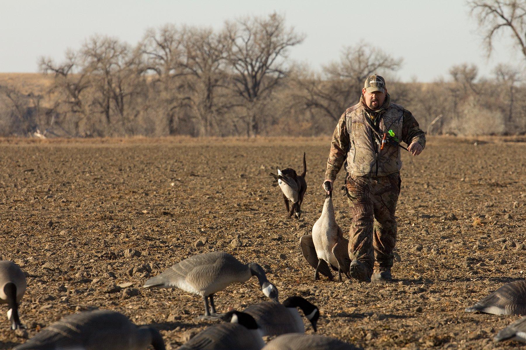 What to eat, where to park and where to find the Goose: What to