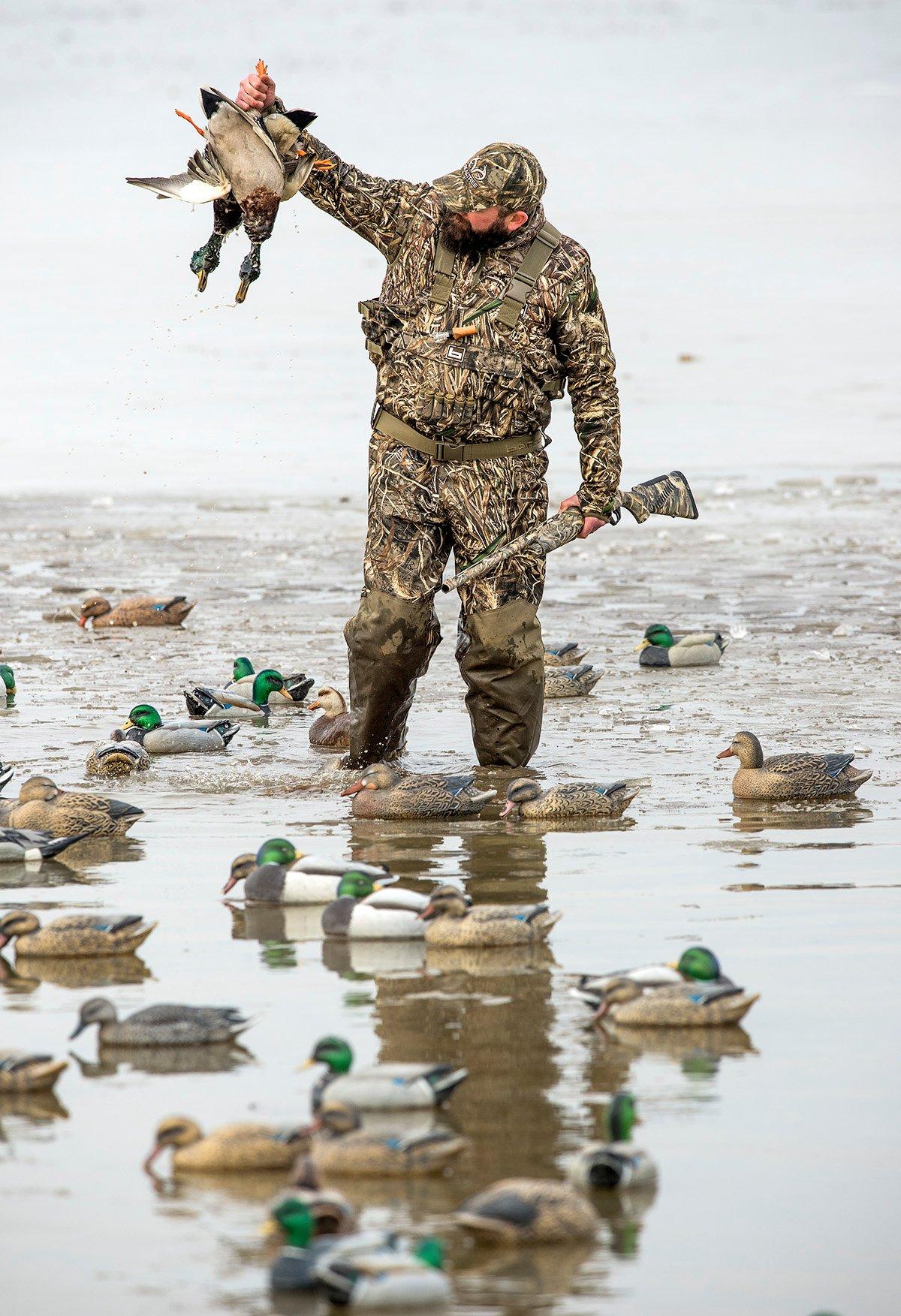When hunting shoreline loafing areas, place some full-body goose or mallard decoys on land to give the impression that ducks are safe and content. Photo © Bill Konway