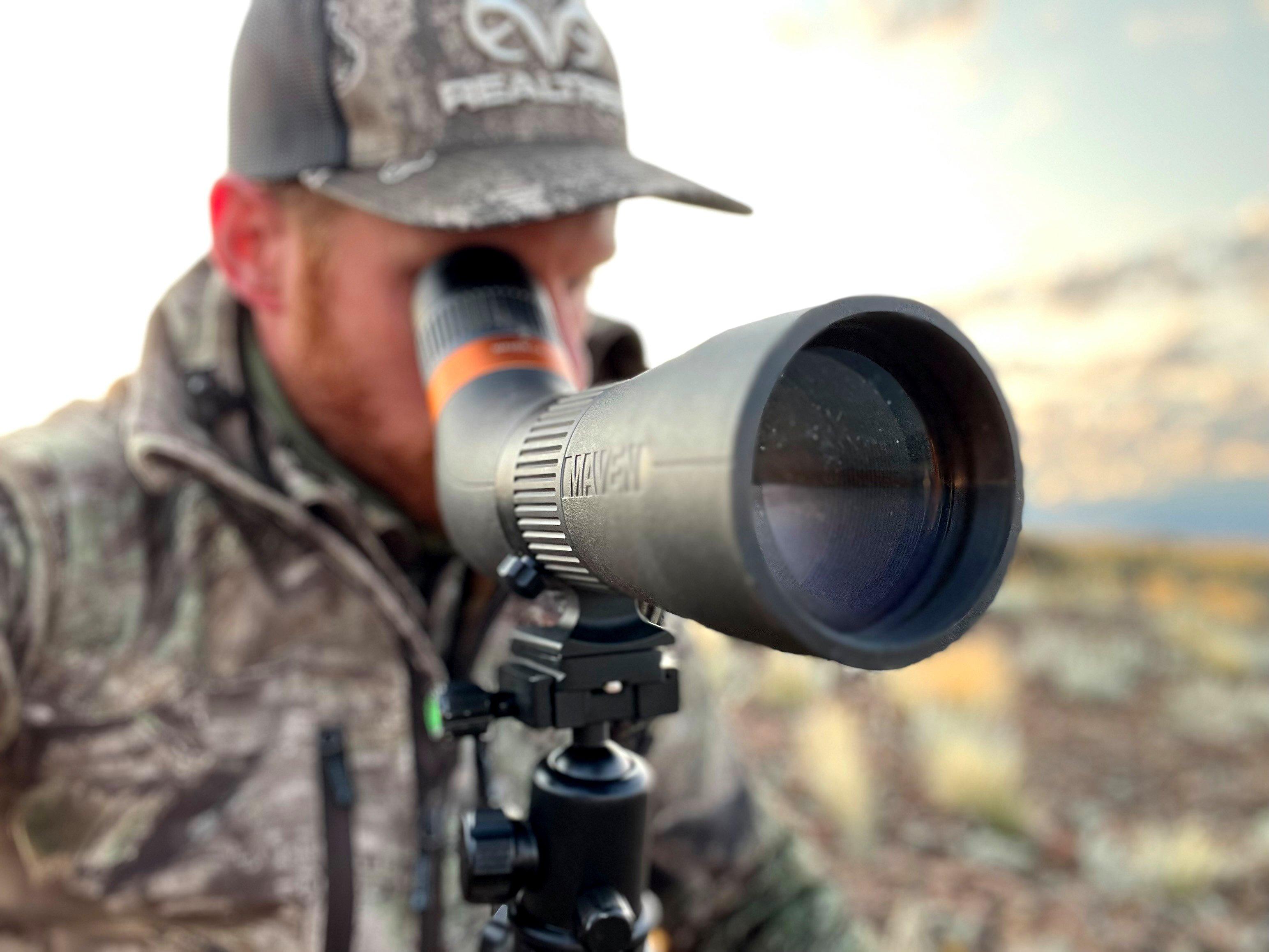 Image: glassing_mulies