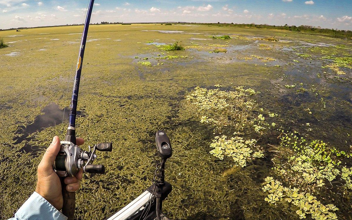 All I Want for Christmas is a Giant Florida Bass - Realtree Camo