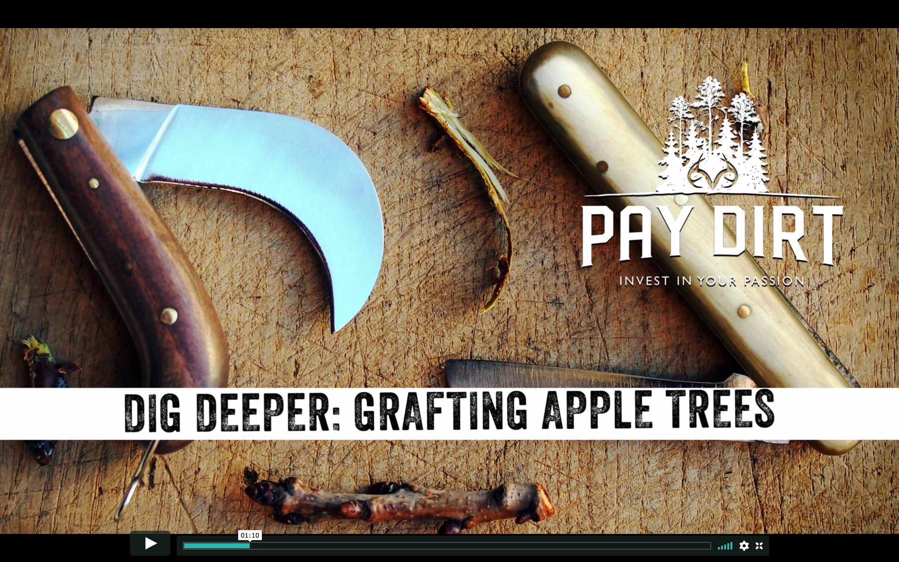 Learn how to graft seedlings and save money on Pay Dirt.