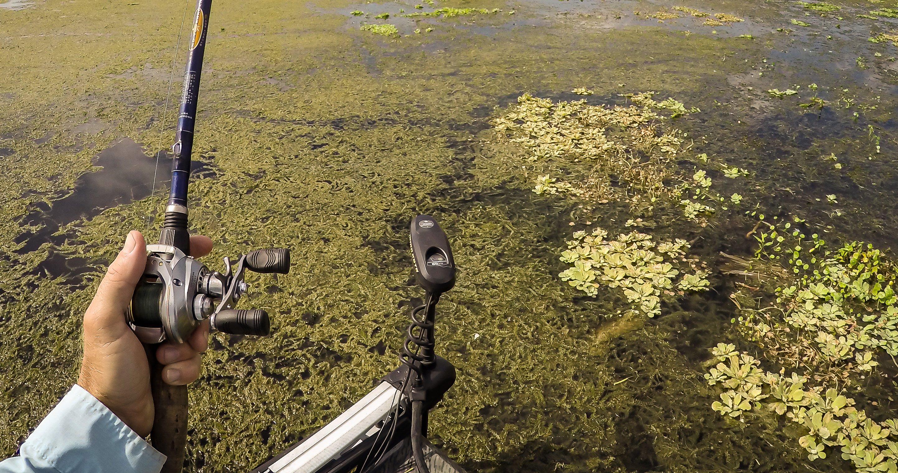 Punching Match: Slop Fishing Tactics for Giant Bass - Realtree Camo