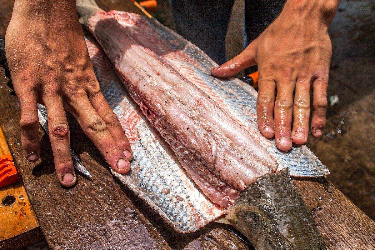 Though thinning non-native carp is never a sin, you can make use of your take as garden fertillizer, and even a tasty snack. (Gretchen Steele photo)