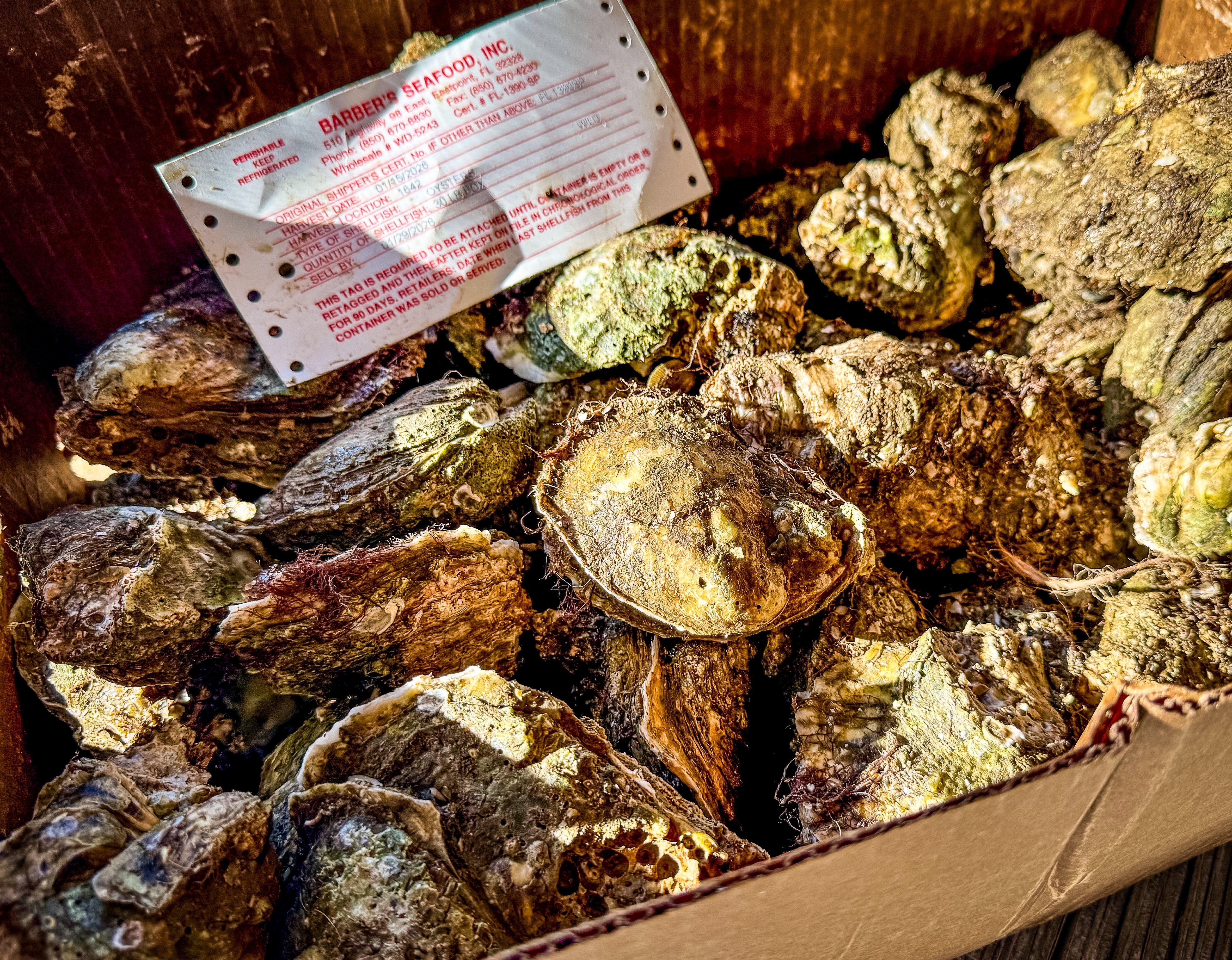 Image: grilled_oysters_1