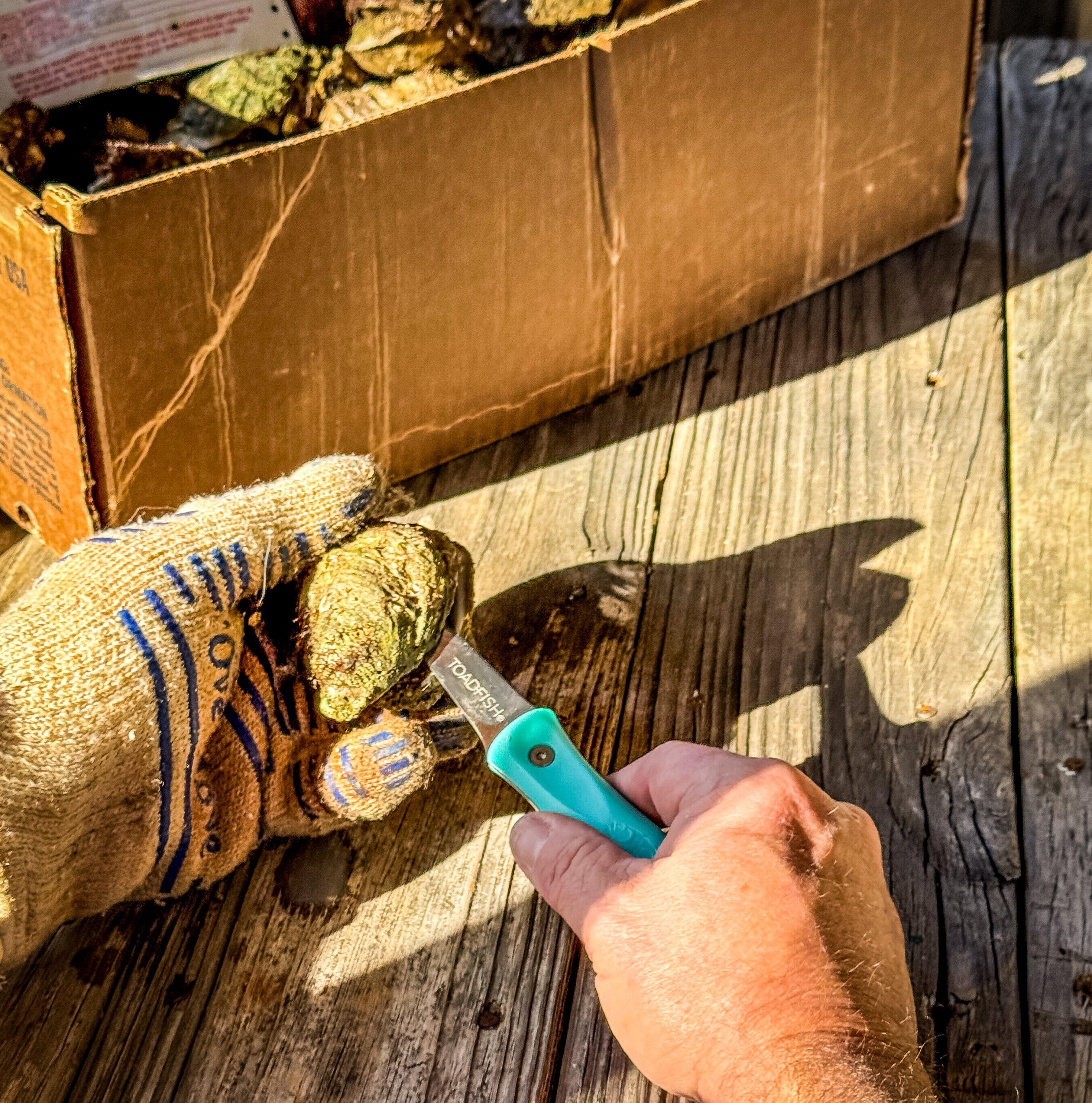 Image: grilled_oysters_2