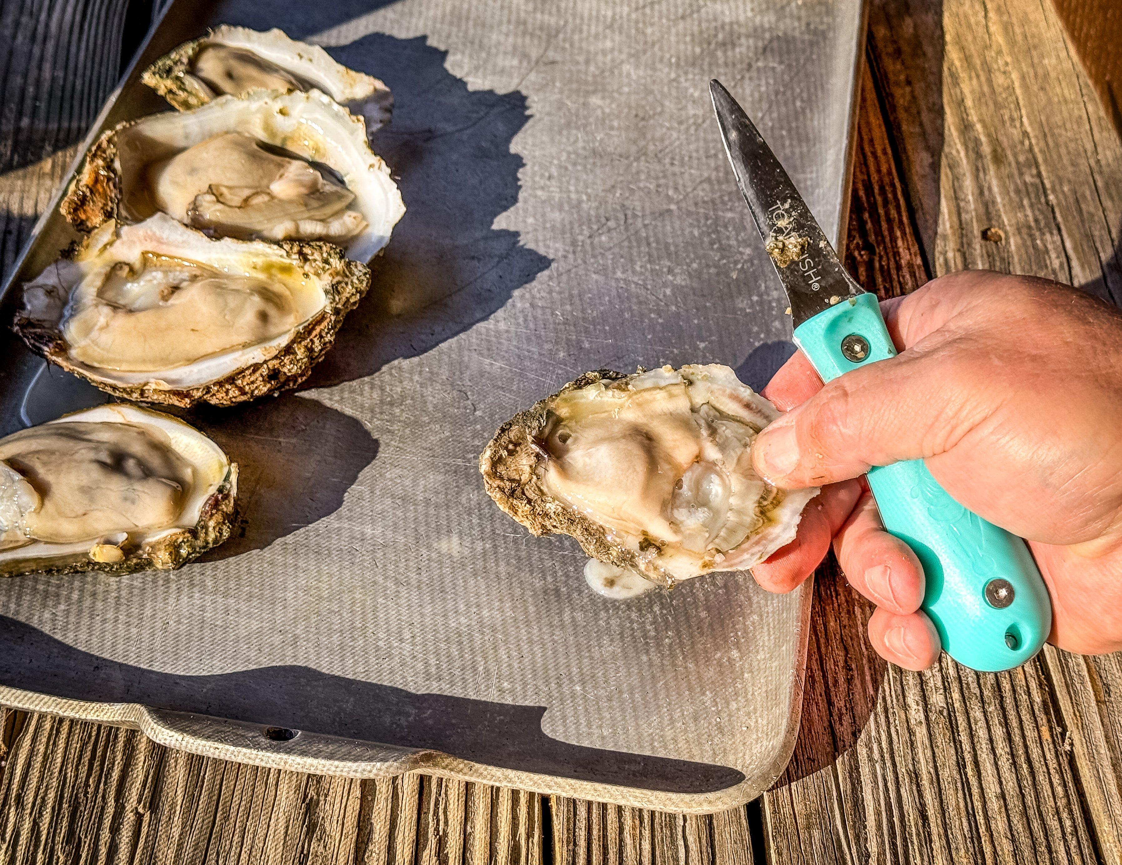 Image: grilled_oysters_4