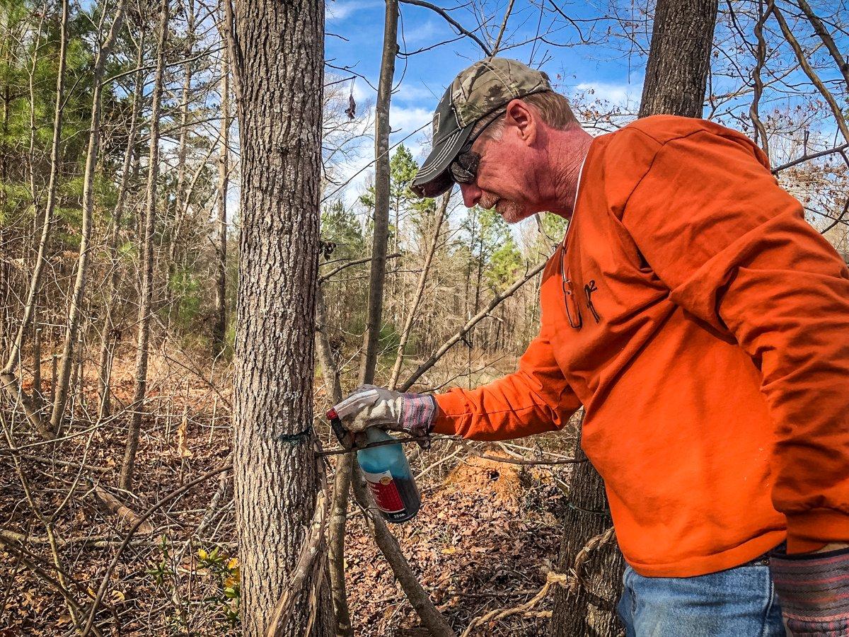 Using the hack-and-squirt method takes longer to change the landscape, but it's certainly effective. (QDMA photo)