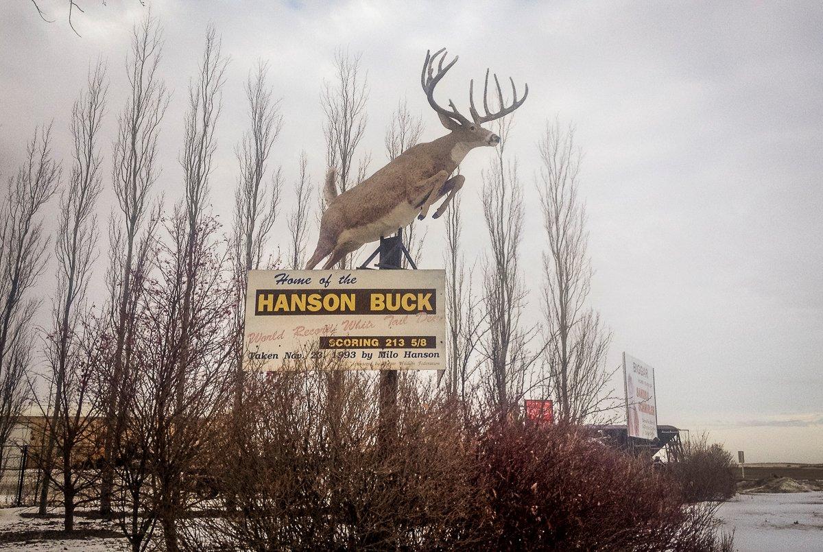 A statue of the Hanson Buck near Biggar, Saskatchewan. 